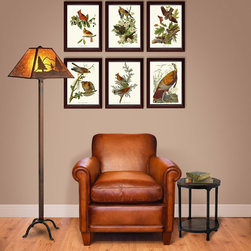 Audubon Bird Prints - Drawings And Illustrations