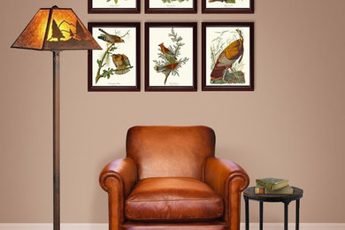 Audubon Bird Prints