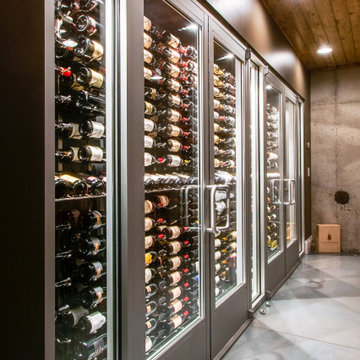 Basement contemporary wine cellar & tasting room