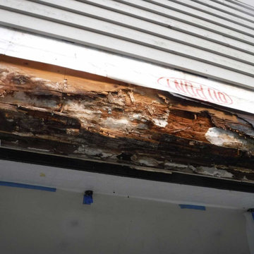 Dry Rot Repair