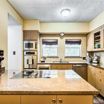 Houston Properties, 403 Anita Houston, TX 77006