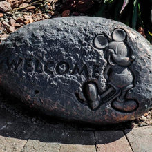 Orlando Landscaping