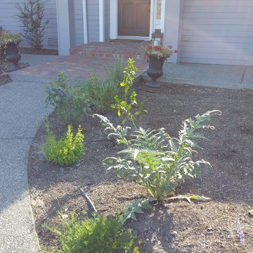 Edible Front Yard