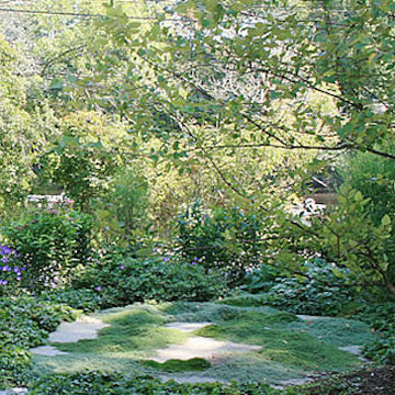 Landscape Design Gallery