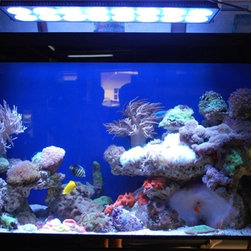 LED Aquarium Light - Products