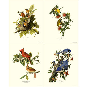 Audubon Bird Print Set-4 Framed Antique Vintage Illustrations, Prints Only, 8x10