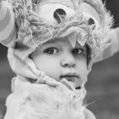 Chris Higgins's photo
