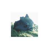 Anthony James's photo