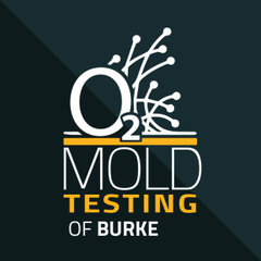 O2 Mold Testing of Burke
