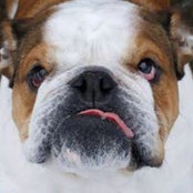 Stacy Parker's photo
