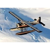 Tom Dufresne's photo