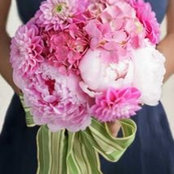 Susi Gordon's photo