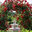 Garten Gaedicke