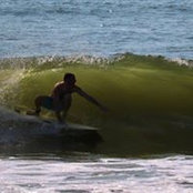 Matt Scanlon's photo