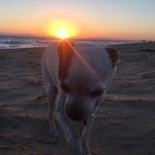 Jamie Ritchey's photo