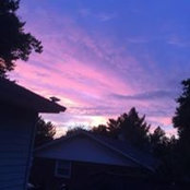 Photo de Michelle Milam