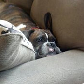 Kerry McCormick's photo