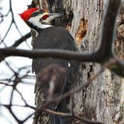 Mildred Hempel's photo