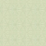 Finesse Deco Partners - Jacquardi Hexagon Matcha Acrylic Tablecloth, 140x140 cm - The light pattern on this green jacquard tablecloth is made up out of delicate hexagon shapes with flower centres. Teflon treatment and acrylic coating ensure that the 140-by-140-centimetre cloth is heat, water and stain resistant. Wipe down the soft, light fabric after use. Finesse is an experienced manufacturer and wholesaler dedicated to washable table linen, amongst other household goods.