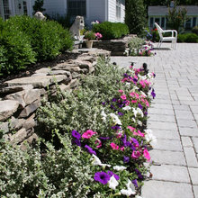 Landscape Ideas