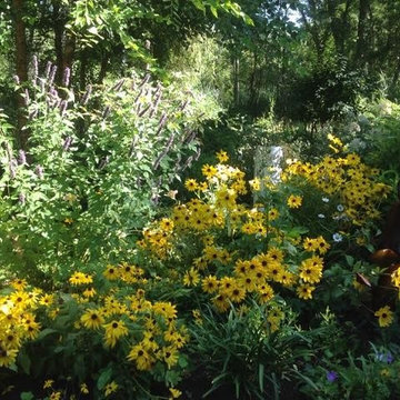 Summer to Fall - The Power of Perennial Gardens