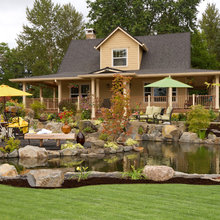 pond