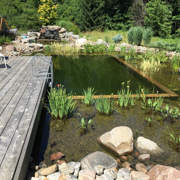Swim Pond by the River - Caledon, Ontario