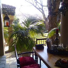 potted plants