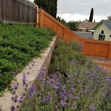 Back yard slope terrace