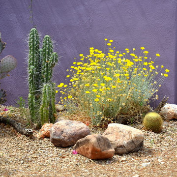Colorful garden