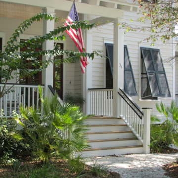 Palm Tree Gallery