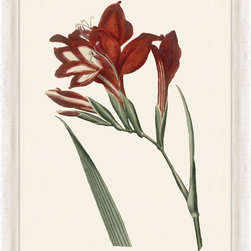 31 in. x 31 in. "Gladiolus" Framed Giclee Print Wall Art - Paintings