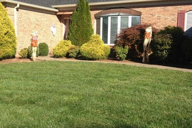 This is an example of a landscaping in Other.