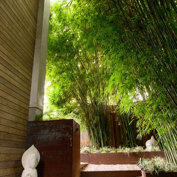 Asian Accents Tucked Under Clumping Bamboo