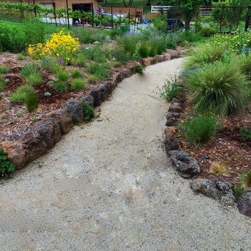 Lawn Conversion, Shingle Springs, CA