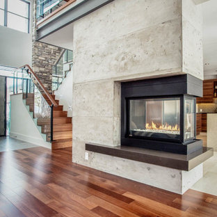 3 Sided Fireplace Ideas Photos Houzz