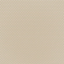 solar blinds