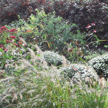 Flower Gardens