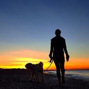 Erin Robsham's photo