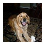 Sally Westerheide's photo