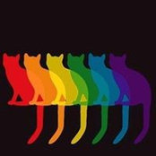 Alla Chavarga's photo