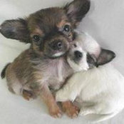 Marilena Giuseppe's photo