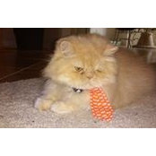 Alma Boudreaux's photo