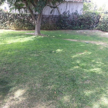Downey Project