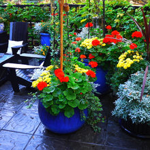 Uplands Patio