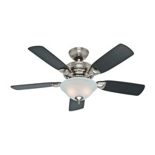 Fans & Lighting