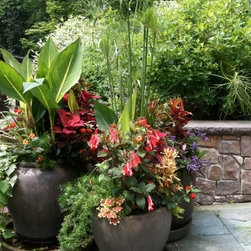 Designer Planters for sale - Outdoor Pots And Planters