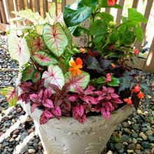 Planters