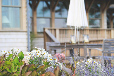 Design ideas for a transitional backyard landscaping in Bridgeport.
