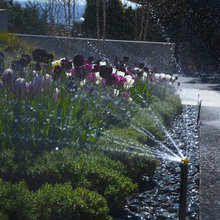 Driveway Landscaping
